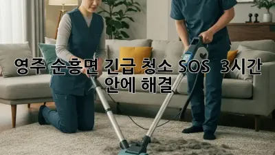 영주 순흥면 긴급 청소 SOS 🚨 3시간 안에 해결!