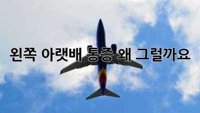 왼쪽 아랫배 통증, 왜 그럴까요?